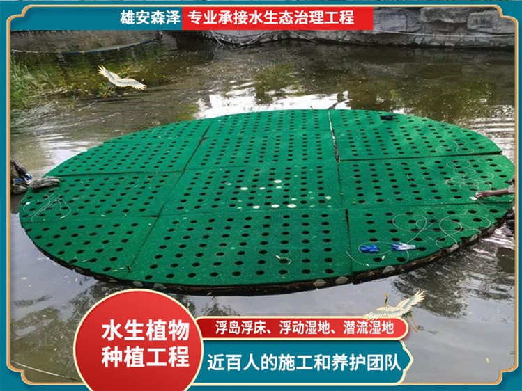 浮动湿地施工现场 (2)